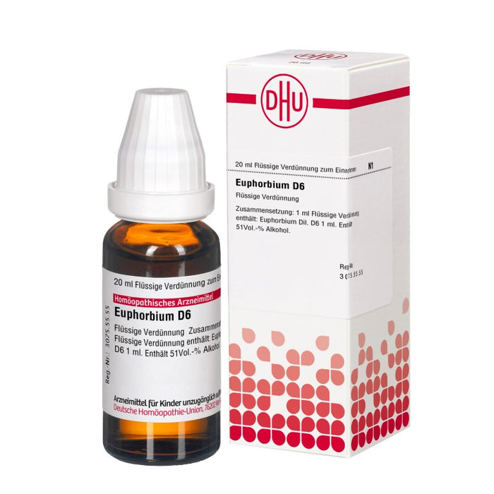 Euphorbium D6 DHU Dilution, 20 ml Lösung