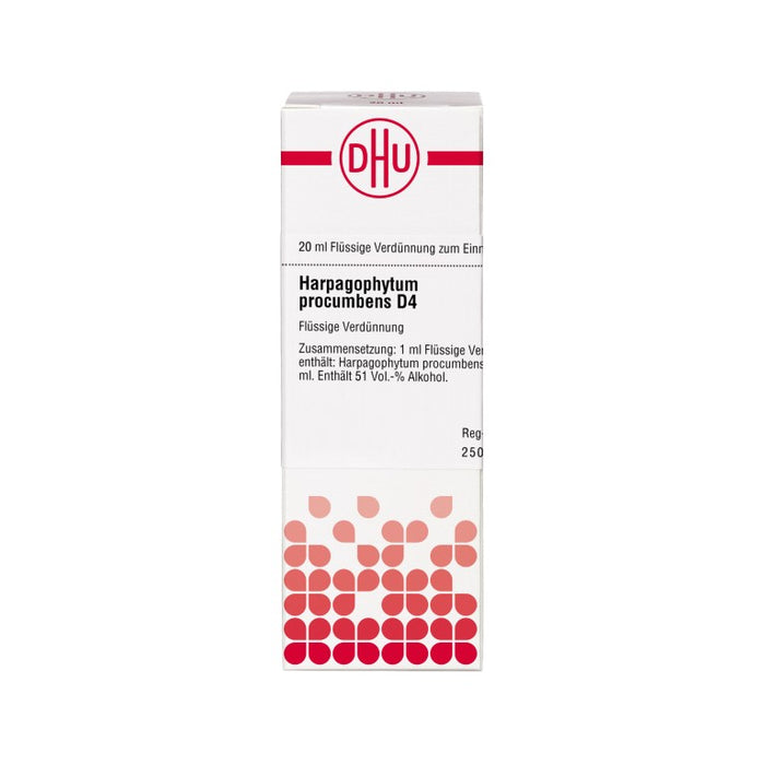 DHU Harpagophytum procumbens D4 Dilution, 20 ml Lösung