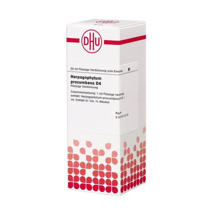 DHU Harpagophytum procumbens D4 Dilution, 20 ml Lösung