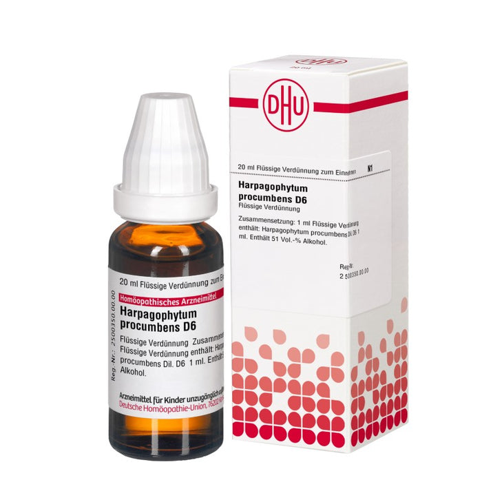 Harpagophytum procumbens D6 DHU Dilution, 20 ml Lösung