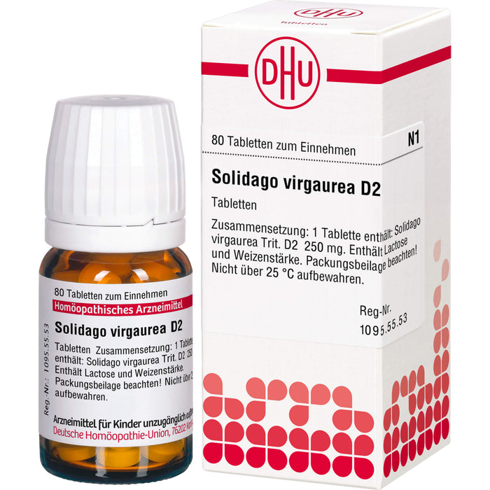 DHU Solidago virgaurea D2 Tabletten, 80 pcs. Tablets