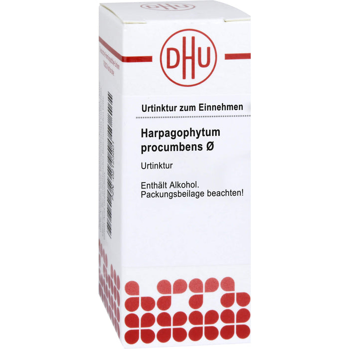 Harpagophytum procumbens Urtinktur D1 DHU, 20 ml Lösung