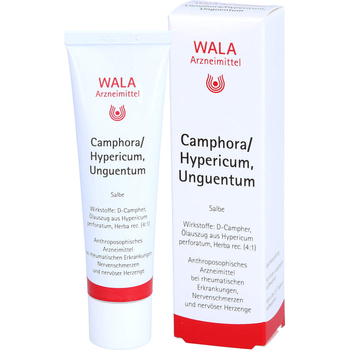 Camphora/Hypericum, Unguentum Wala, Salbe, 30 g SAL