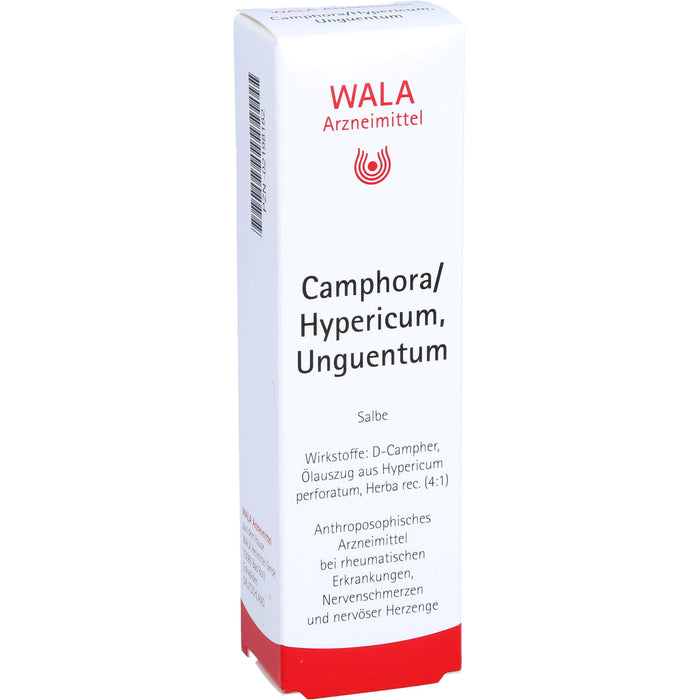 Camphora/Hypericum, Unguentum Wala, Salbe, 30 g SAL