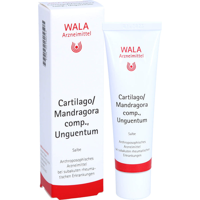 WALA Cartilago/Mandragora comp. Salbe bei subakuten rheumatischen Erkrankungen, 30 g Salbe