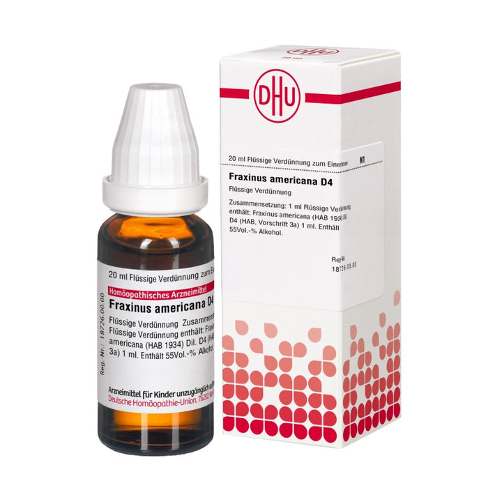 DHU Fraxinus americana D 4 Verdünnung, 20 ml Lösung