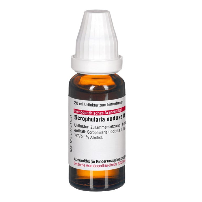 DHU Scrophularia nodosa ø Urtinktur, 20 ml Lösung