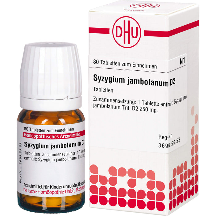 DHU Syzygium jambolaneum D 2 Tabletten, 80 St. Tabletten