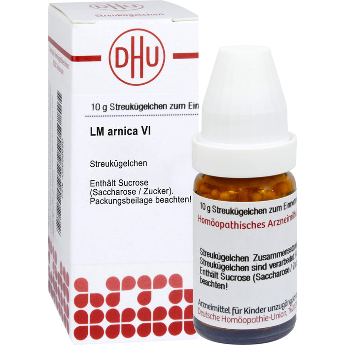 DHU Arnica LM VI Streukügelchen, 5 g Globules