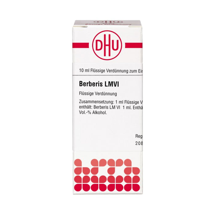 Berberis LM VI DHU Dilution, 10 ml Lösung