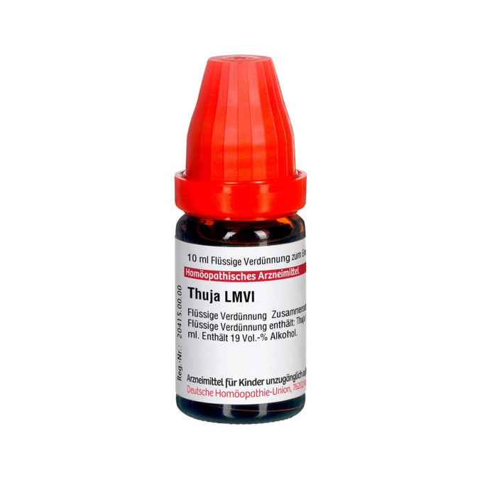 DHU Thuja LM VI Dilution, 10 ml Lösung