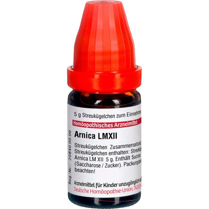 DHU Arnica LM XII Streukügelchen, 5 g Globuli