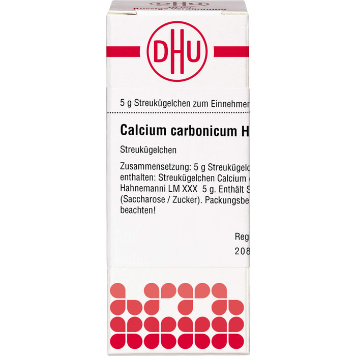 Calcium carbonicum Hahnemanni LM XXX DHU Globuli, 5 g Globuli