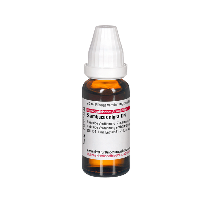 Sambucus nigra D4 DHU Dilution, 20 ml Lösung