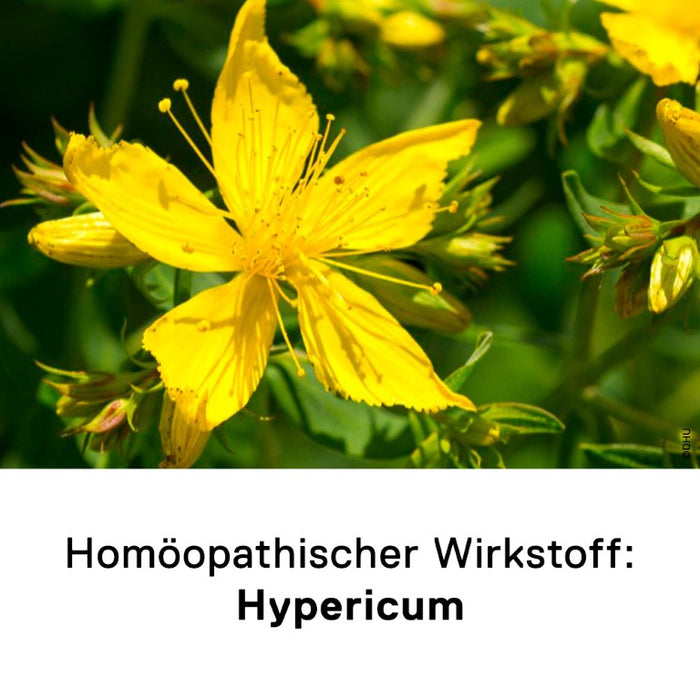 DHU Hypericum D6 Streukügelchen, 10 g Globules