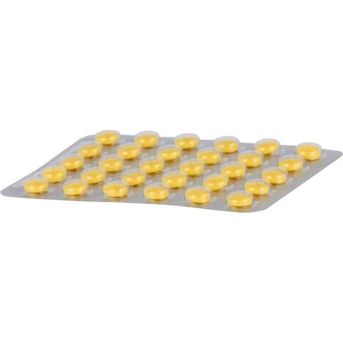 KARSIVAN Filmtabletten für Hunde, 60 pcs. Tablets