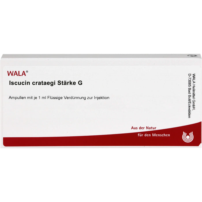 WALA Iscucin Crataegi Stärke G flüssige Verdünnung, 10 pcs. Ampoules