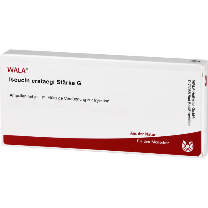 WALA Iscucin Crataegi Stärke G flüssige Verdünnung, 10 pcs. Ampoules