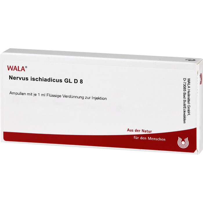 WALA Nervus ischiadicus Gl D8 flüssige Verdünnung, 10 pc Ampoules