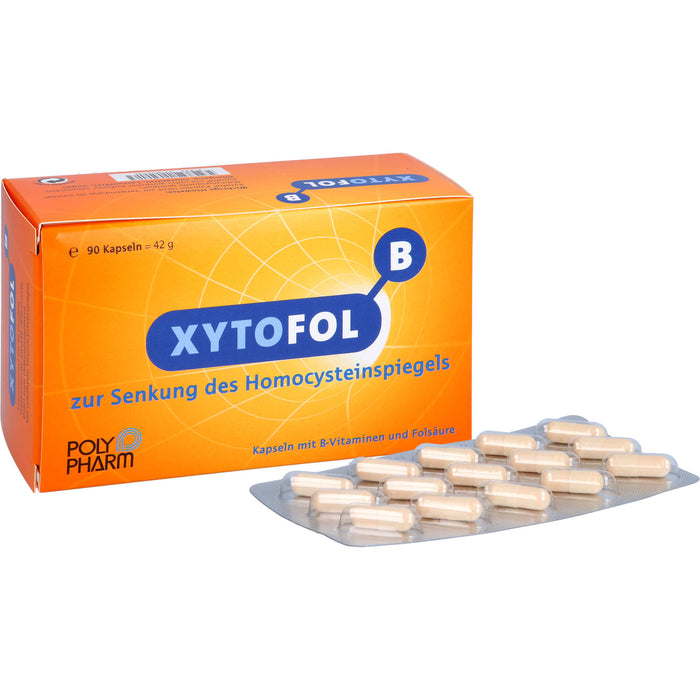 XYTOFOL B Kapseln zur Senkung des Homocysteinspiegels, 90 pc Capsules