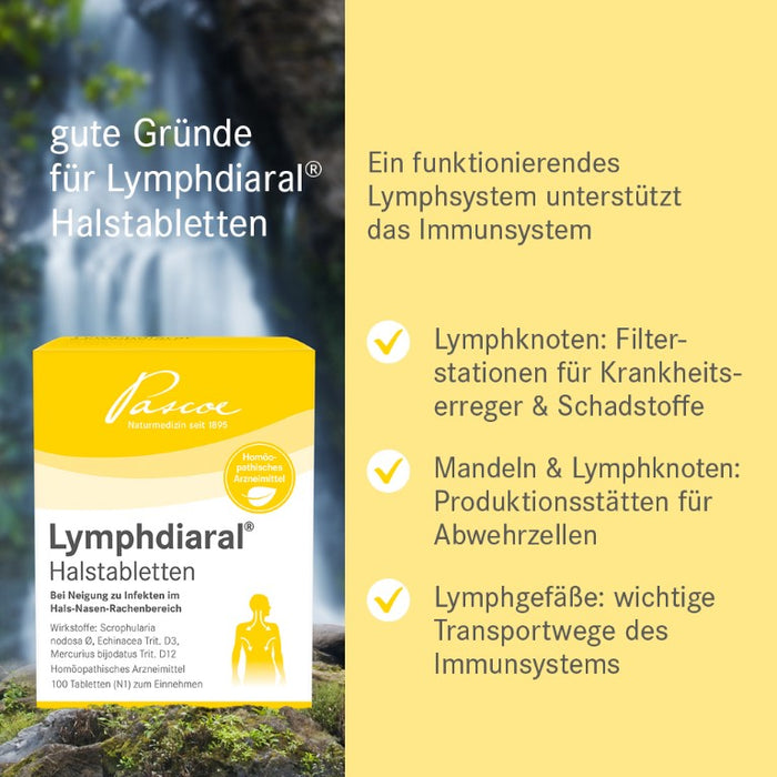 Lymphdiaral Halstabletten bei Neigung zu Infekten im Hals-Nasen-Rachenbereich, 100 pcs. Tablets