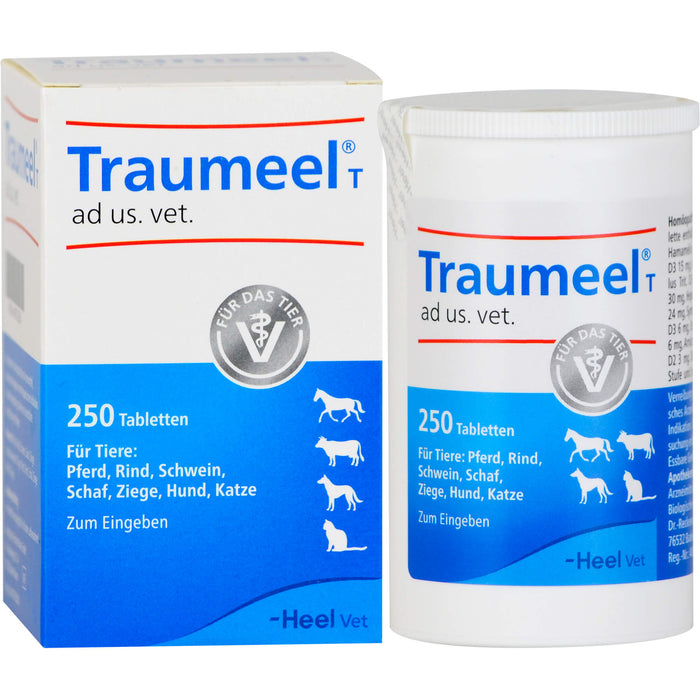 Traumeel T ad us. vet. Tabletten, 250 pc Tablettes