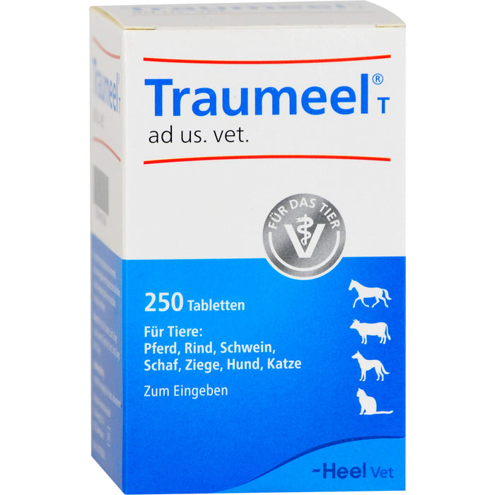 Traumeel T ad us. vet. Tabletten, 250 St. Tabletten