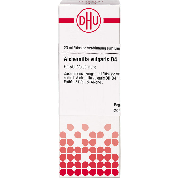 Alchemilla vulgaris D4 DHU Dilution, 20 ml Lösung