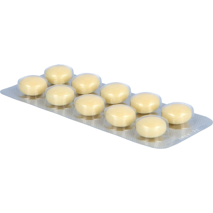 Kytta-Sedativum für den Tag überzogene Tabletten, 60 pc Tablettes