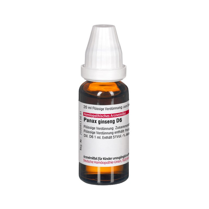 Panax ginseng D6 DHU Dilution, 20 ml Lösung