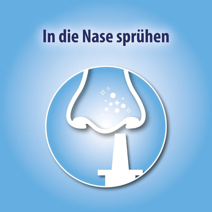 Olynth E Nasenspray bei Schnupfen, 15 ml Solution