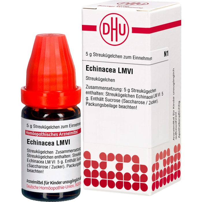 DHU Echinacea LM VI Streukügelchen, 5 g Globules