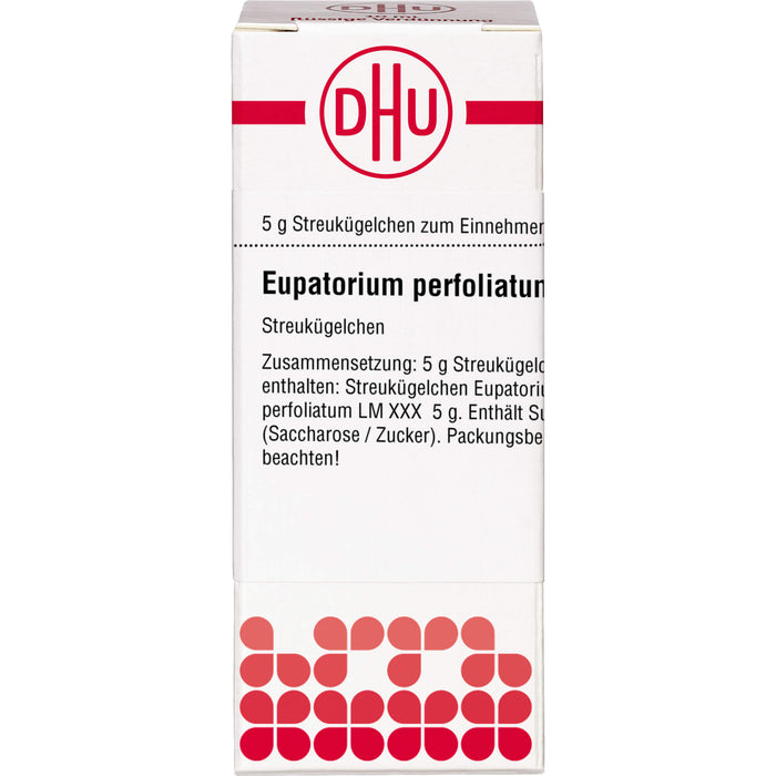 DHU Eupatorium perfoliatum LM XXX Streukügelchen, 5 g Globules