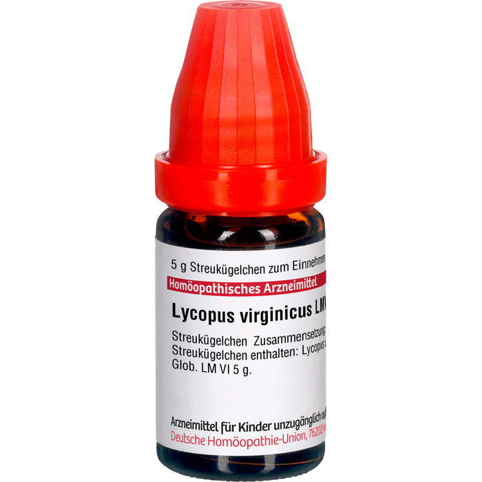 DHU Lycopus virginicus LM VI Streukügelchen, 5 g Globules