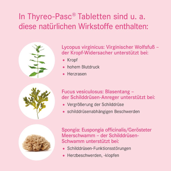 Thyreo-Pasc Tabletten bei Schilddrüsenerkrankungen, 100 pc Tablettes