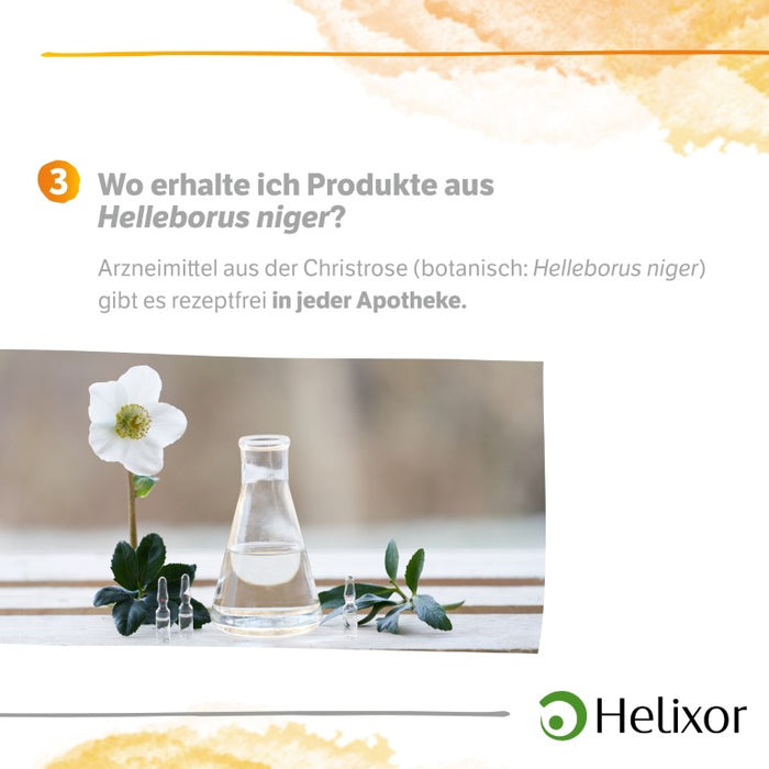 Helleborus niger D5 aquos., 8 pc Ampoules