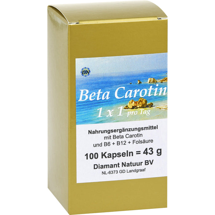 Beta Carotin 1 x 1 pro Tag, 100 St KAP