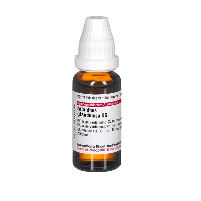 Ailanthus glandulosa D6 DHU Dilution, 20 ml Lösung