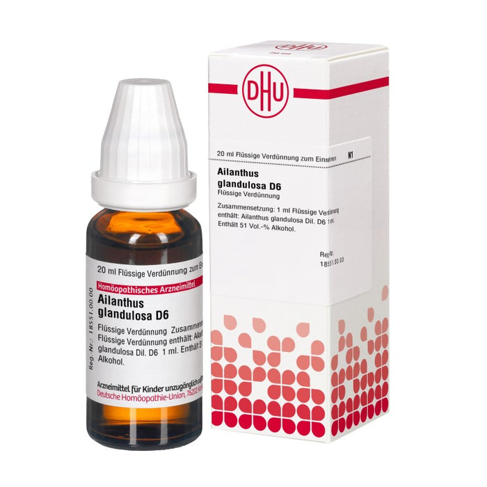 Ailanthus glandulosa D6 DHU Dilution, 20 ml Lösung