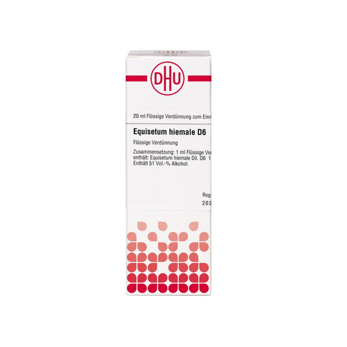 Equisetum hiemale D6 DHU Dilution, 20 ml Lösung