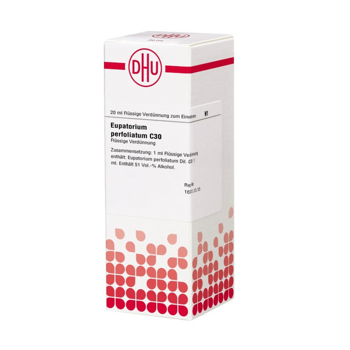 Eupatorium perfoliatum C30 DHU Dilution, 20 ml Lösung