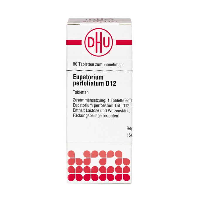 Eupatorium perfoliatum D12 DHU Tabletten, 80 St. Tabletten