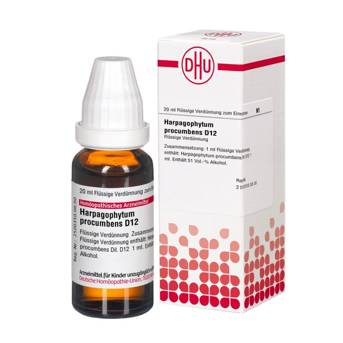 Harpagophytum procumbens D12 DHU Dilution, 20 ml Lösung