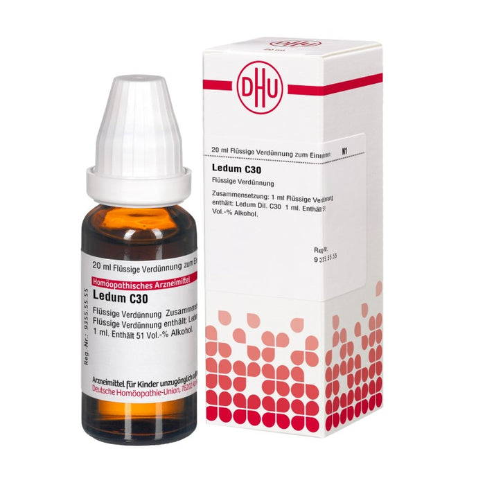 DHU Ledum C30 Dilution, 20 ml Lösung