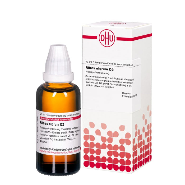 Ribes nigrum D2 DHU Dilution, 50 ml Lösung