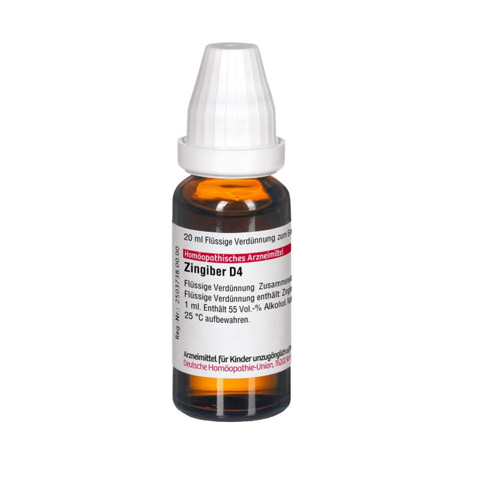 DHU Zingiber D4 Dilution, 20 ml Lösung