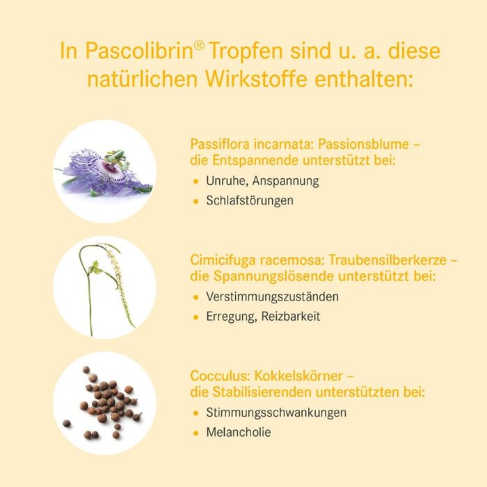 Pascolibrin Tropfen bei Verstimmungszuständen und nervösen Störungen, 50 ml Lösung