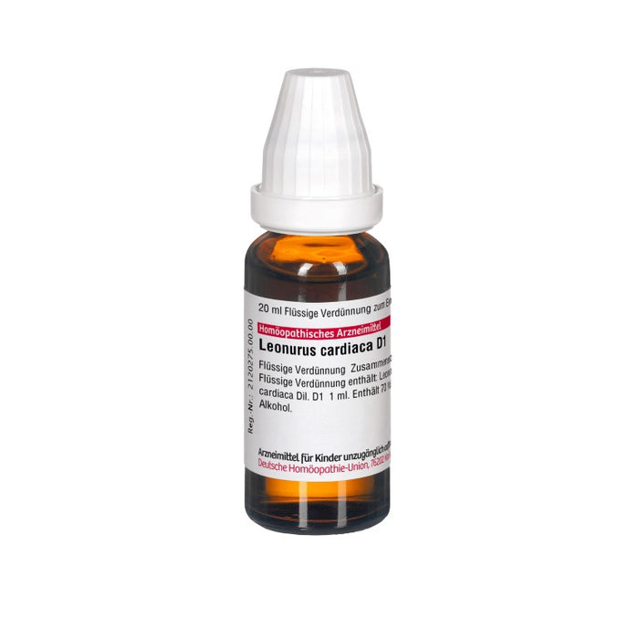 Leonurus cardiaca D1 DHU Dilution, 20 ml Lösung