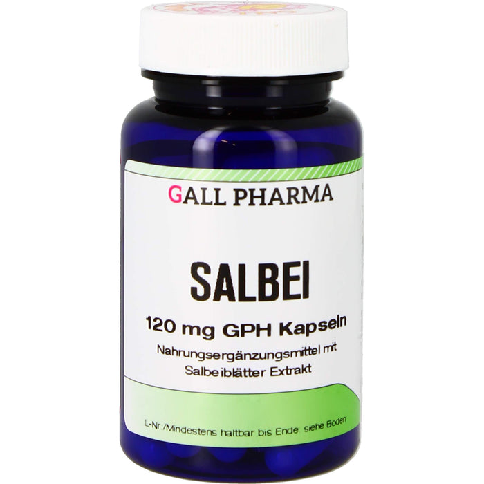 GALL PHARMA Salbei 120 mg GPH Kapseln, 120 pc Capsules