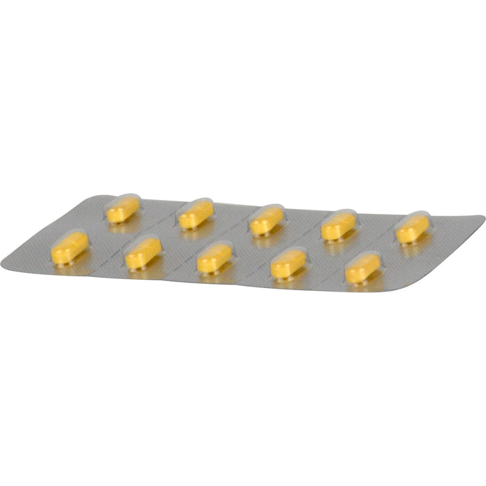 KARSIVAN 100 mg Filmtabletten für Hunde, 60 pc Tablettes